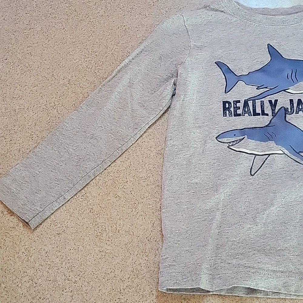 Carter's Gray Really Jawome Shark Graphic Long Sleeve Tee Size 3T